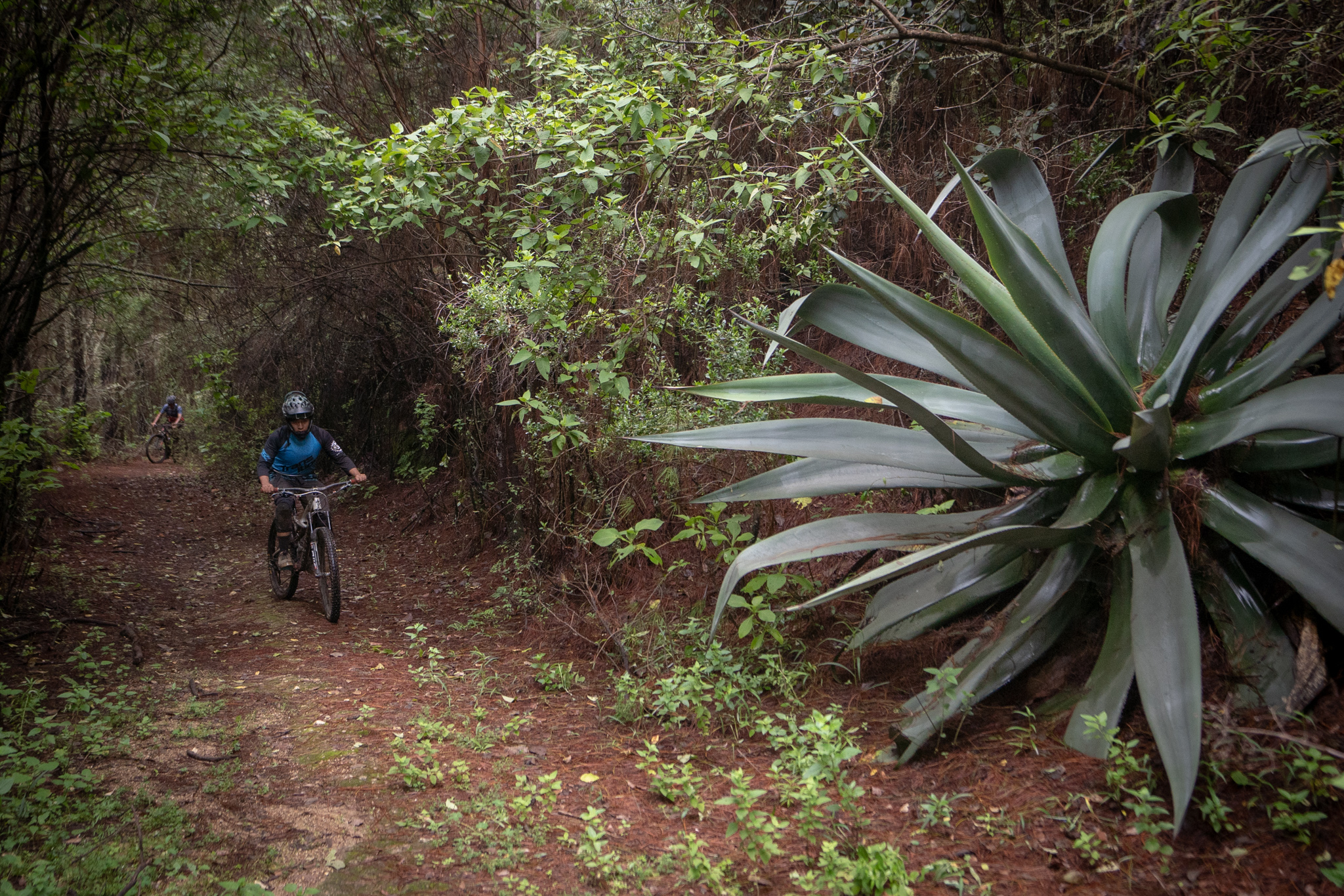 Bike-Trip Oaxaca Whistlerpeji